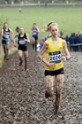 Womens under-20s 2018 British Inter Counties Cross Country Champs., Prestwold Hall, Loughborough. Photo: David T. Hewitson/Sports for All Pics
